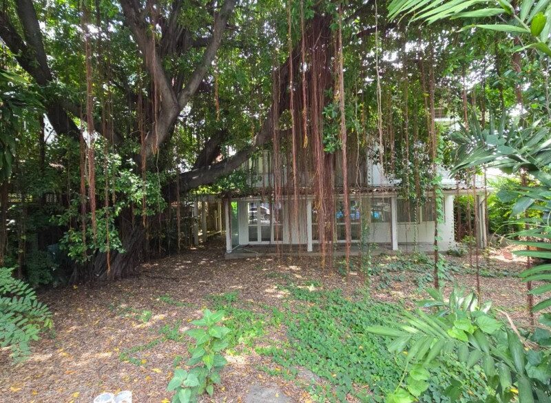 Prime Location ใจกลางเมือง ย่านอารีย์–พหลโยธิน โอกาสครอบครองที่ดินหายากในทำเลศักยภาพ เหมาะสำหรับการลงทุนและพัฒนาโครงการระดับพรีเมียม