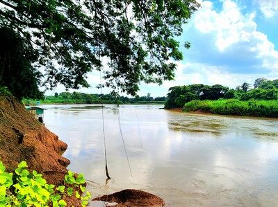 ขายที่ดินติดแม่น้ำชี 3 ไร่ อำเภอเมืองมหาสารคาม ทำเลดี ติดถนนหลัก ไปกาฬสินธุ์ เหมาะค้าขาย ร้านอาหาร คาเฟ่่ริมน้ำรีสอร์ท พลูวิลล่า