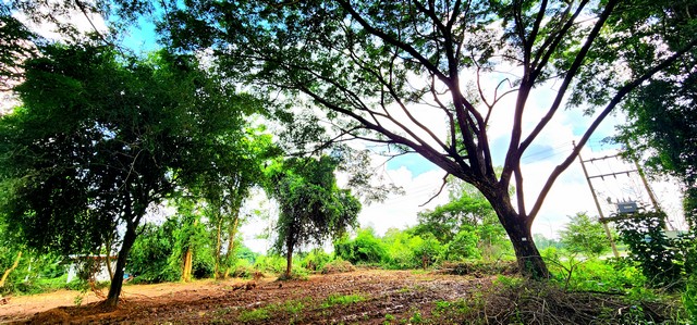 ขายที่ดินติดแม่น้ำชี 3 ไร่ อำเภอเมืองมหาสารคาม ทำเลดี ติดถนนหลัก ไปกาฬสินธุ์ เหมาะค้าขาย ร้านอาหาร คาเฟ่่ริมน้ำรีสอร์ท พลูวิลล่า