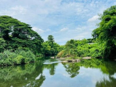 ขายที่ดินติดแม่น้ำนครนายก ล่องแก่งได้ บรรยากาศธรรมชาติ วิวเขา เริ่มต้นเพียง 5 ล้านบาทเท่านั้น ต.สาริกา อ.เมืองนครนายก