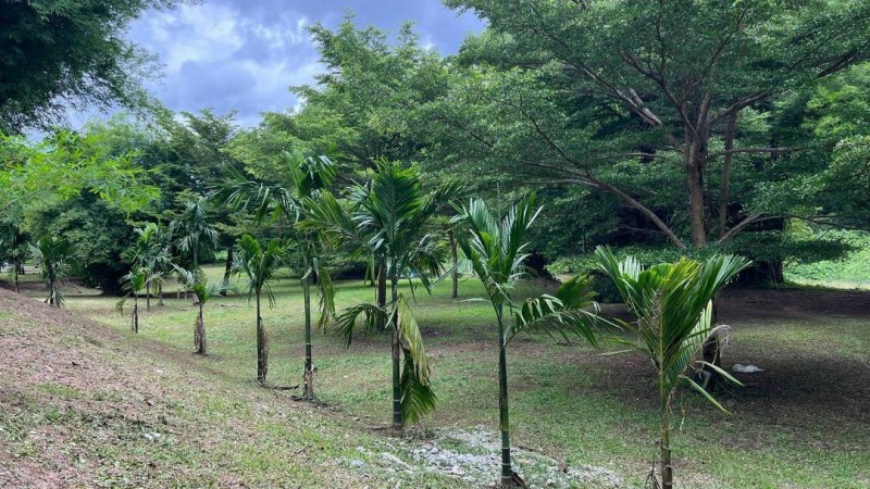 ขายที่ดินติดแม่น้ำนครนายก ล่องแก่งได้ บรรยากาศธรรมชาติ วิวเขา เริ่มต้นเพียง 5 ล้านบาทเท่านั้น ต.สาริกา อ.เมืองนครนายก