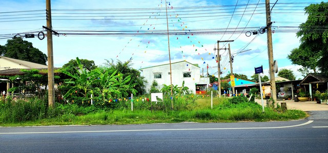ขายที่ดินติดถนนลาดยางเรียบคลอง10หนองเสือ ใกล้อำเภอหนองเสือ วิวคลอง ติดถนน 2 ด้าน ทำเลดีเหมาะค้าขาย ร้านอาหาร บรรยากาศดี อยู่ใกล้แหล่งชุมชน