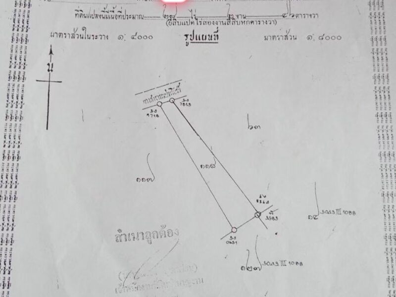 ขายที่นา
