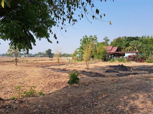 ขายที่ดินเปล่า เนื้อที่ 6-3-3 ไร่ เยื้องกับโรงเรียนอนุบาลบ้านบัว เมืองบุรีรัมย์