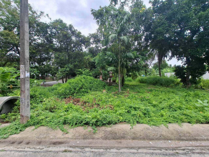 ขาย ที่ดิน ซอยลาดปลาเค้า 45 ขนาด 1 ไร่ ใกล้ถนนลาดปลาเค้า เพียง 250 เมตร