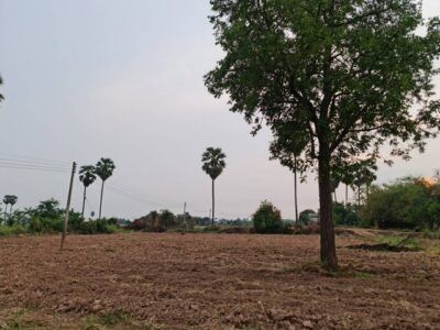 ทั้งปล่อยเช่า หรือขาย ที่ดินติดแม่น้ำน่าน ที่สวยติดแม่น้ำน่าน ชุมแสง จ.นครสวรรค์ วิวแม่น้ำเกษตรดีงามสวยสมบูรณ์