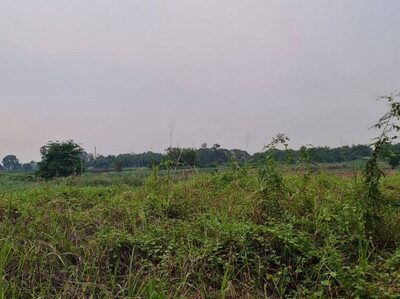 ฝากทรัพย์ดีดีไว้ให้พิจารณานะคะ ขาย ที่ดินติดแม่น้ำน่าน ที่สวยติดแม่น้ำน่าน ชุมแสง จ.นครสวรรค์