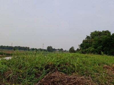 แนะนำซื้อขายอสังหาดีดี ขาย ที่ดินติดแม่น้ำน่าน ที่สวยติดแม่น้ำน่าน ชุมแสง จ.นครสวรรค์