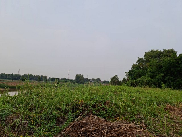 แนะนำซื้อขายอสังหาดีดี ขาย ที่ดินติดแม่น้ำน่าน ที่สวยติดแม่น้ำน่าน ชุมแสง จ.นครสวรรค์