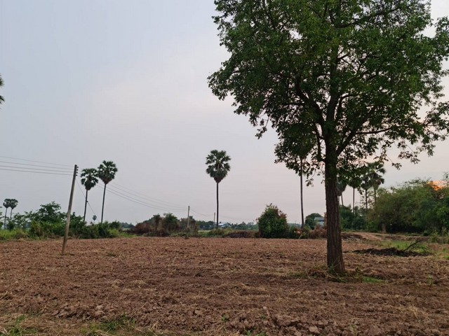 วิวน้ำดีงามสวยสมบูรณ์ดินดี เช่า หรือขาย ที่ดินติดแม่น้ำน่าน ที่สวยติดแม่น้ำน่าน ชุมแสง จ.นครสวรรค์