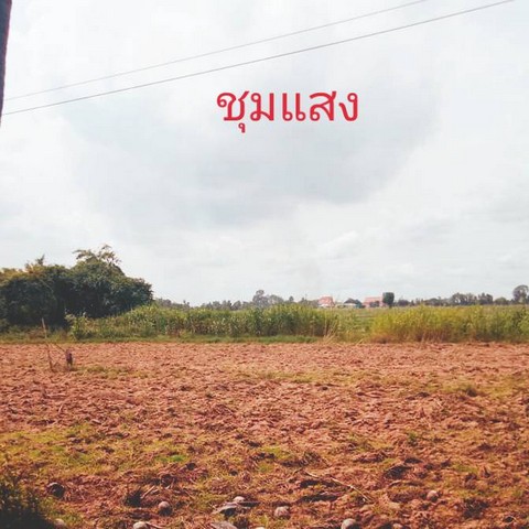 ทั้งปล่อยเช่า หรือขาย ที่ดินติดแม่น้ำน่าน ที่สวยติดแม่น้ำน่าน ชุมแสง จ.นครสวรรค์ วิวแม่น้ำเกษตรดีงามสวยสมบูรณ์
