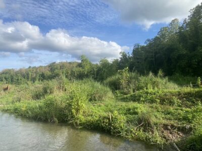 ขาย และให้เช่า ที่ดินติดลำธาร ลำน้ำมวบ จ.น่าน เมืองเหนือ ต.พงษ์ อ.สันติสุข จ.น่าน ชุ่มฉ่ำตลอดปี สวยวิวล้าน