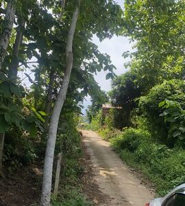 ฝากทรัพย์ดีดีไว้ให้พิจารณานะคะ ที่ดินติดลำธาร เช่าขายที่ติดลำน้ำมวบ จ.น่าน เมืองเหนือ ต.พงษ์ อ.สันติสุข จ.น่าน