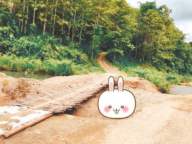 แนะนำซื้อขายอสังหาดีดี ที่ดินติดลำธาร เช่าขายที่ติดลำน้ำมวบ จ.น่าน เมืองเหนือ ต.พงษ์ อ.สันติสุข จ.น่าน
