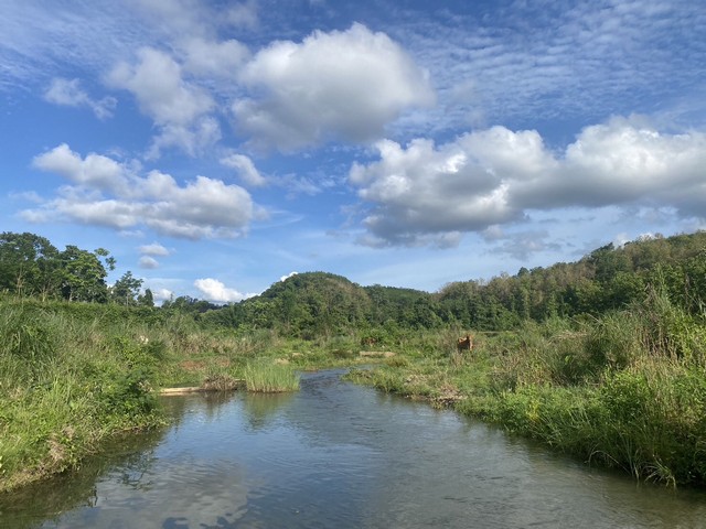 ชุ่มฉ่ำตลอดปีสวยวิวล้านที่ดินติดลำธาร เช่าขายที่ติดลำน้ำมวบ จ.น่าน เมืองเหนือ ต.พงษ์ อ.สันติสุข จ.น่าน