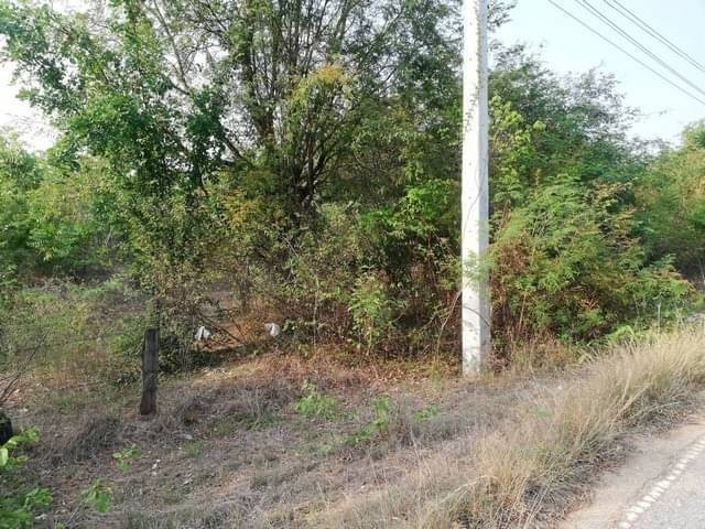 เช่าและขาย ที่สวยจังหวัดตาก ติดทางหลวง1107 คมนาคมสะดวก ไร่ละ 250000 ต.ตากตก อ.บ้านตาก จ.ตาก