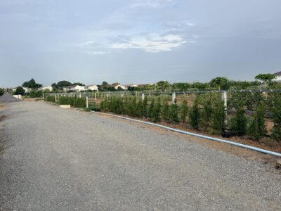 ที่ดินแบ่งแปลง ถมแล้ว บางบัวทอง 75-400 ตรว.