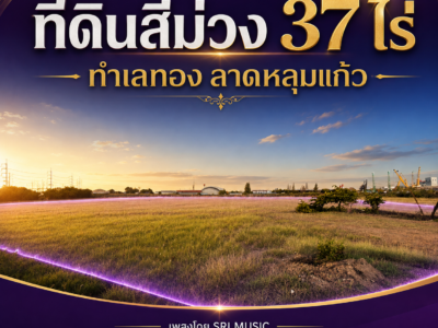 ขายที่ดินสีม่วง เนื้อที่ 37 ไร่ ทำเลเด่นติดถนนหมายเลข 346 ปทุมธานี–ลาดหลุมแก้ว ต.คูขวาง อ.ลาดหลุมแก้ว จ.ปทุมธานี