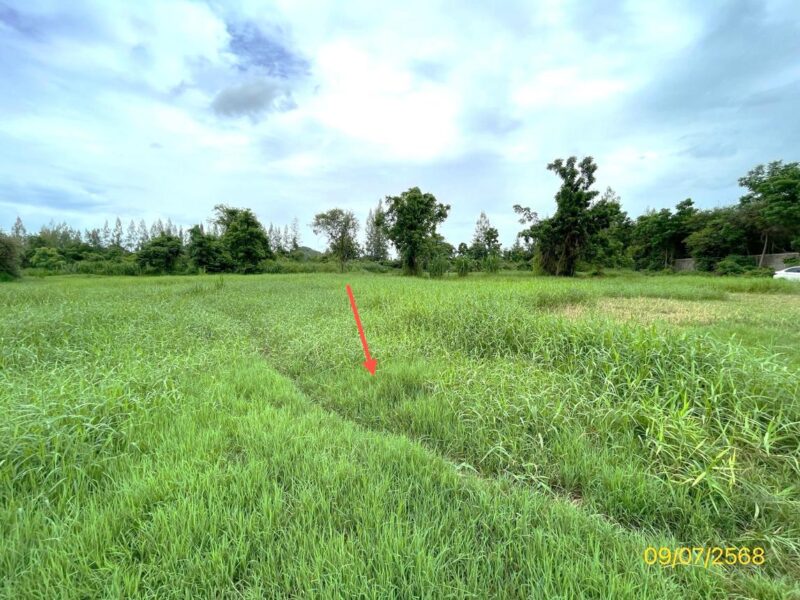 ที่ดินราชบุรี ดอนทรายปากท่อ แปลงใหญ่ 17 ไร่