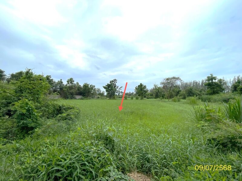 ที่ดินราชบุรี ดอนทรายปากท่อ แปลงใหญ่ 17 ไร่