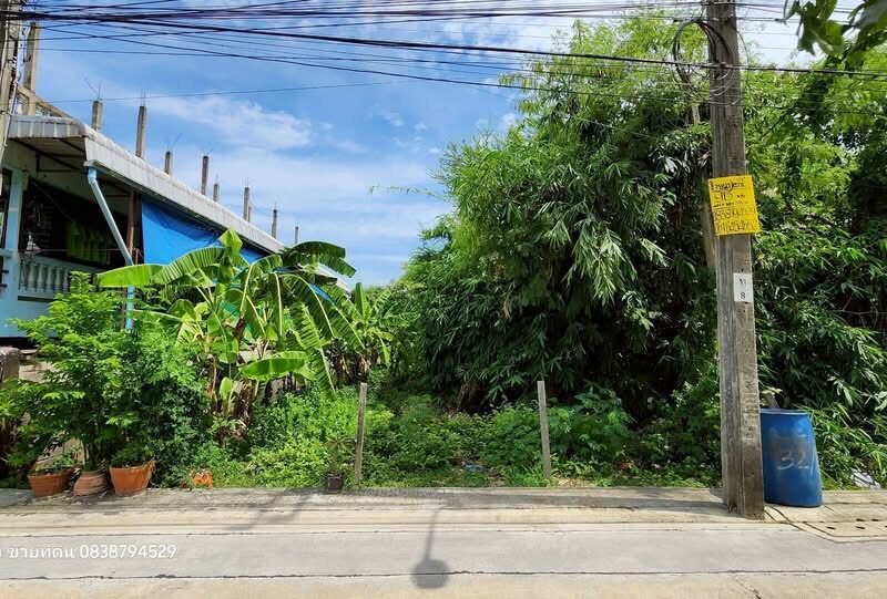 Vายที่ดินใกล้ม.ธนบุรี 96 ตารางวา ติดถนนคอนกรีต เพชรเกษม 108 แยก 7 ภาษีเจริญ กทม.