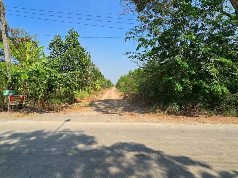 Vายที่ดิน 200 ตารางวา ติดถนนดิน เลียบคลองหก ต.คลองหลวง ปทุมธานี