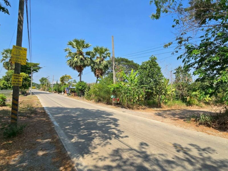 Vายที่ดิน 200 ตารางวา ติดถนนดิน เลียบคลองหก ต.คลองหลวง ปทุมธานี