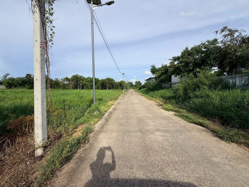 ขายด่วนที่ดิน 4 ไร่ 56 ตารางวา) ติดถนนสาธารณะ 2ด้าน ชอยเกษตร 2,3 สามโคก ปทุมธานี