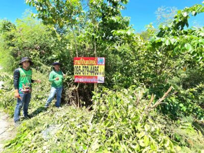 ขายด่วนที่ดิน 3 ไร่ ติดถนน3422(ลาดบัวหลวง-วัดไผ่โรงวัว) บางเลน นครปฐม