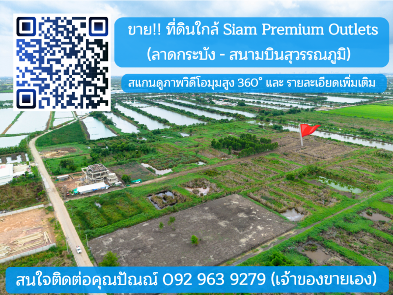 ขายที่ดิน ถ.หลวงแพ่ง ใกล้Siam Premium Outlets เพียง 3 กม. (ซอยติดกับตลาดเทิดไท-สี่แยกลำต้อยติ่ง)