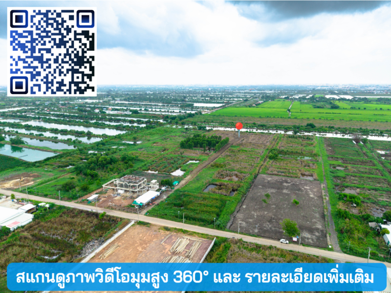 ขายที่ดิน ถ.หลวงแพ่ง ใกล้Siam Premium Outlets เพียง 3 กม. (ซอยติดกับตลาดเทิดไท-สี่แยกลำต้อยติ่ง)