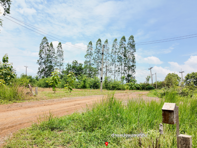 ขายที่ดิน 2 ไร่ 2 งาน 19 ตร.ว. โฉนดครุฑแดง วิวภูเขา ต.วังชมภู เพชรบูรณ์