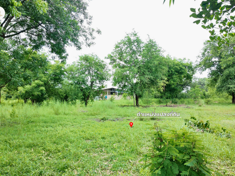ขายที่ดิน 2 ไร่ 2 งาน 19 ตร.ว. โฉนดครุฑแดง วิวภูเขา ต.วังชมภู เพชรบูรณ์