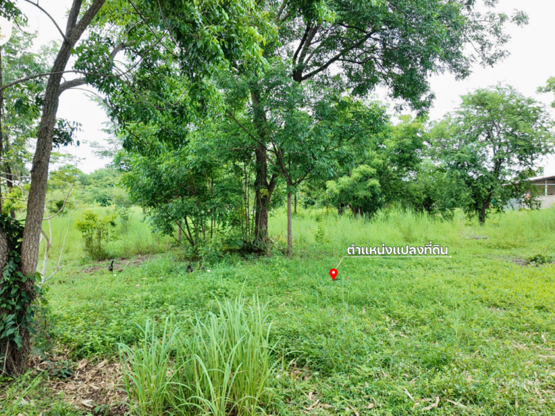 ขายที่ดิน 2 ไร่ 2 งาน 19 ตร.ว. โฉนดครุฑแดง วิวภูเขา ต.วังชมภู เพชรบูรณ์