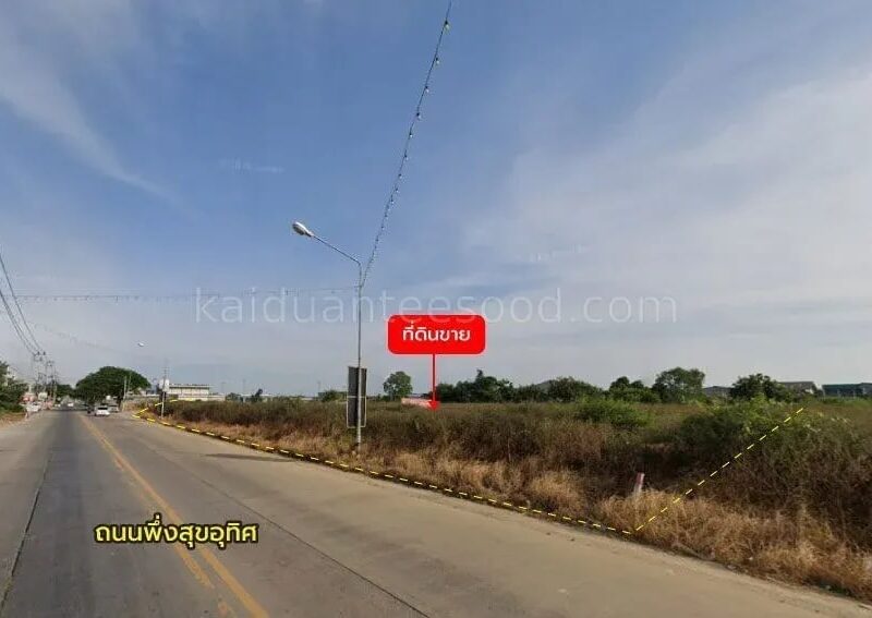 ขายที่ดิน 3 ไร่ 0 งาน 0 ตร.ว. ติด ถนนพึ่งสุขอุทิศ ใกล้ ตลาดพึ่งสุข บึงคำพร้อย ลำลูกกา