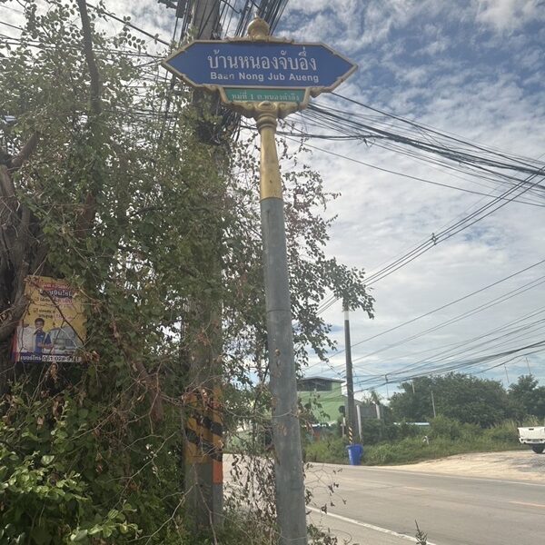 ขายที่ดิน 198 ตร.ว. ทำเลทอง ในแหล่งชุมชน ติดถนน อ.พานทอง จ.ชลบุรี โทร 0953157555