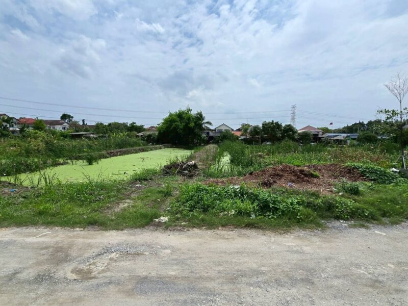 ขายด่วนที่ดินทวีวัฒนา 358 ตรว ติดถนนหินคลุก ซ.ทวีวัฒนา-กาญจนาภิเษก 24 กทม.
