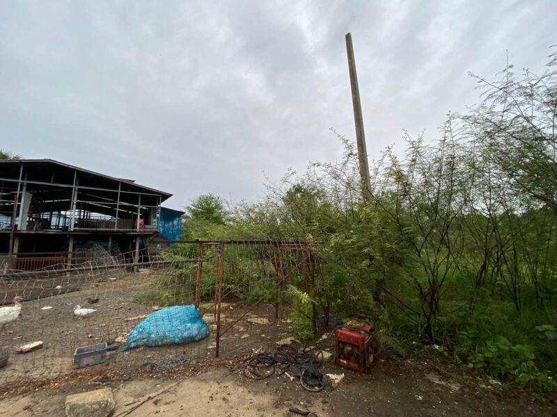 ขายต่ำกว่าประเมินที่ดิน 266 ตรว ติดถนนคอนกรีต ต.บ้านงิ้ว อ.สามโคก จ.ปทุมธานี