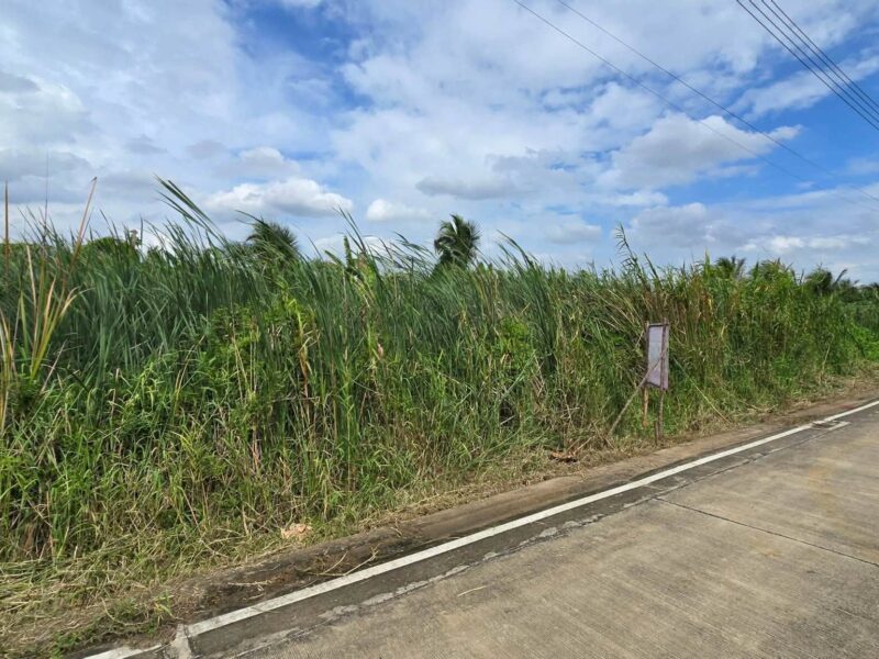 ขายด่วนที่ดิน 96 ตรว ติดถนนคอนกรีตสาธารณะ ซ.นายตึ๋ง บางกรวย นนทบุรี
