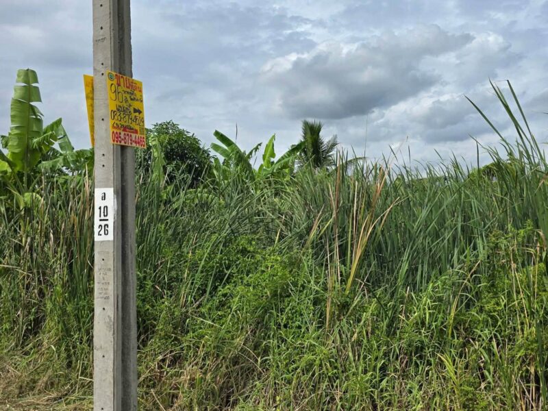 ขายด่วนที่ดิน 96 ตรว ติดถนนคอนกรีตสาธารณะ ซ.นายตึ๋ง บางกรวย นนทบุรี