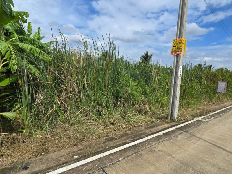 ขายด่วนที่ดิน 96 ตรว ติดถนนคอนกรีตสาธารณะ ซ.นายตึ๋ง บางกรวย นนทบุรี