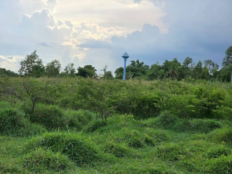 ขายด่วนที่ดิน 6 ไร่ 74 ตรว ติดถนนสาธารณะ 3 ด้าน คลองแพ่ง เมืองฉะเชิงเทรา
