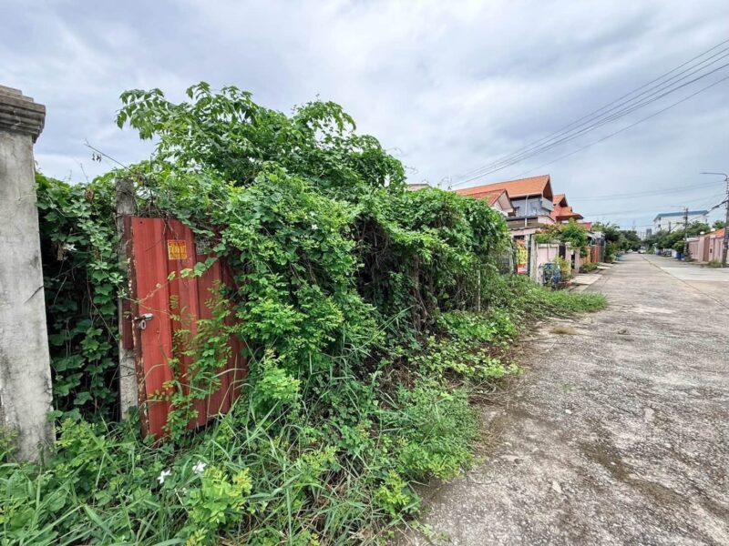 ขายด่วนที่ดินนวมินทร์ 60 ตรว ติดถนนสาธารณะ ถมแล้ว+ล้อมลวดหนาม ซ.นวมินทร์ 163 แยก13-4 บางกะปิ กทม.