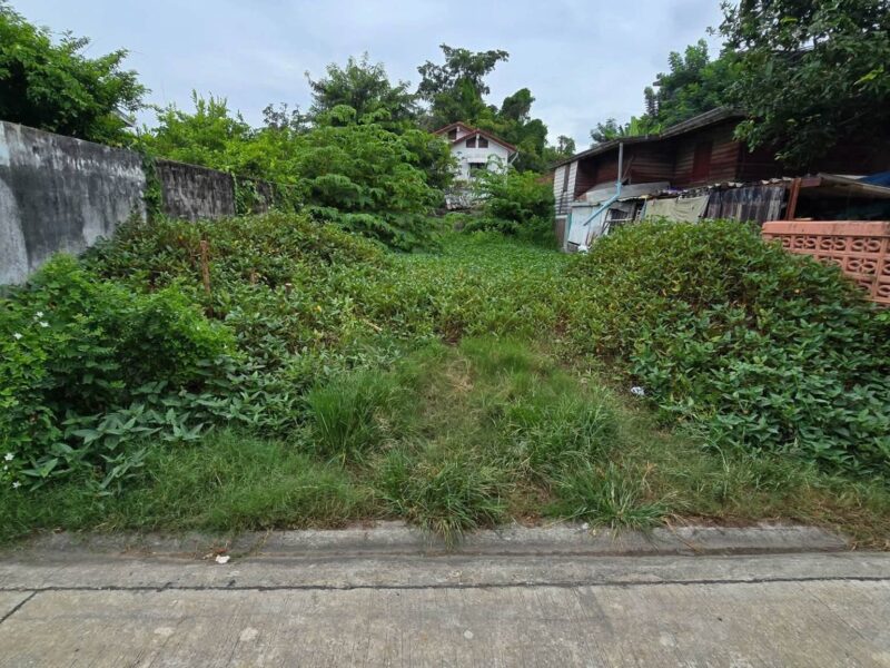 ขายด่วนที่ดิน 42 ตรว ติดถนนคอนกรีตสาธารณะ ถมแล้ว ซ.ศิริเกษม 13 ภาษีเจริญ กทม.