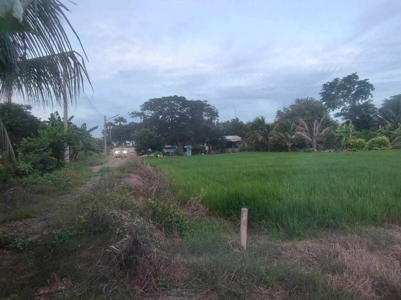 ขายด่วนที่ดิน 680 ตรว ติดถนนสาธารณะ 2 ด้าน แปลงมุม บ้านงิ้ว สามโคก ปทุมธานี