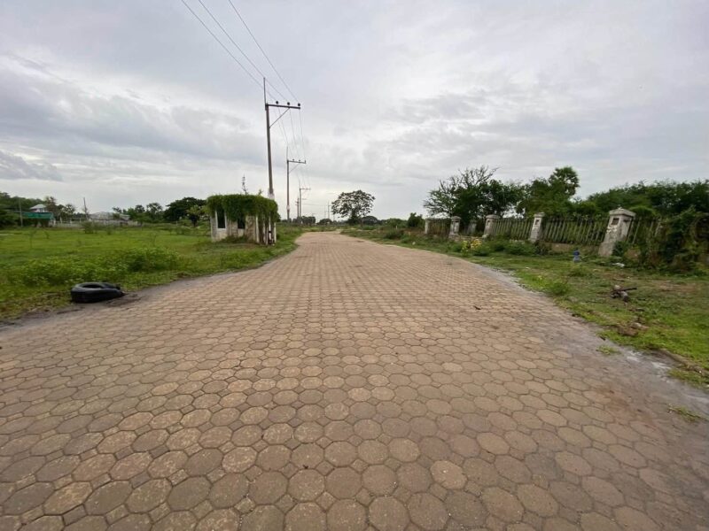 ขายต่ำกว่าประเมินที่ดิน 266 ตรว ติดถนนคอนกรีต ต.บ้านงิ้ว อ.สามโคก จ.ปทุมธานี