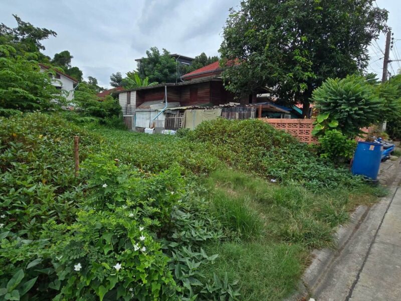 ขายด่วนที่ดิน 42 ตรว ติดถนนคอนกรีตสาธารณะ ถมแล้ว ซ.ศิริเกษม 13 ภาษีเจริญ กทม.