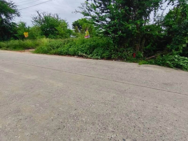 ขายด่วนที่ดิน 215 ตรว ติดถนนสาธารณะ 2 ด้าน ซ.ไอยรา 26,27 คลองหลวง ปทุมธานี