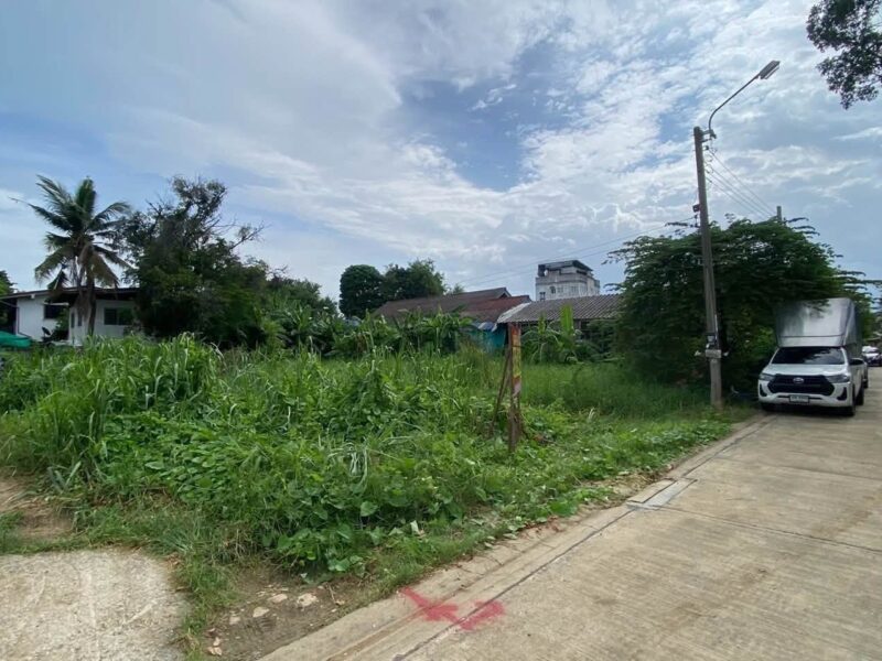 ขายด่วนที่ดินต่ำกว่าราคาประเมิน 108 ตรว ติดถนนคอนกรีต ซ.เพชรเกษม 108 ภาษีเจริญ กรุงเทพฯ