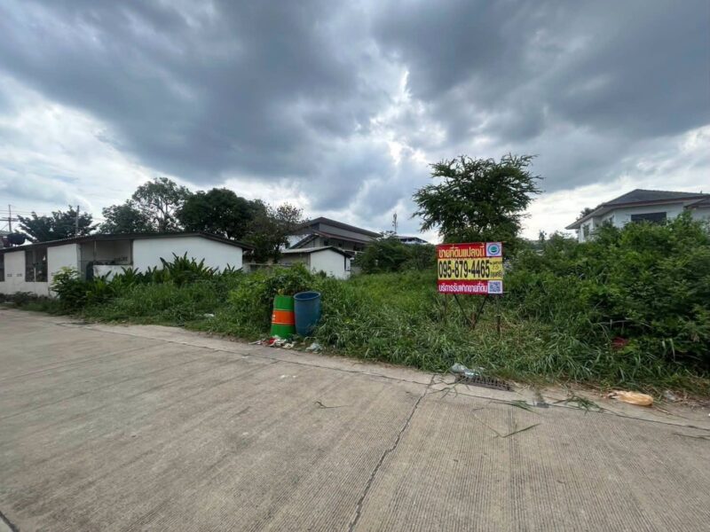 ขายด่วนที่ดินผังม่วง 101 ตรว ติดถนนคอนกรีต ถมแล้ว ซ.นวนทอง 23 กระทุ่มแบน สมุทรสาคร